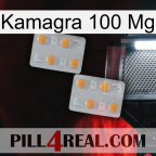 Kamagra100 Mg 25